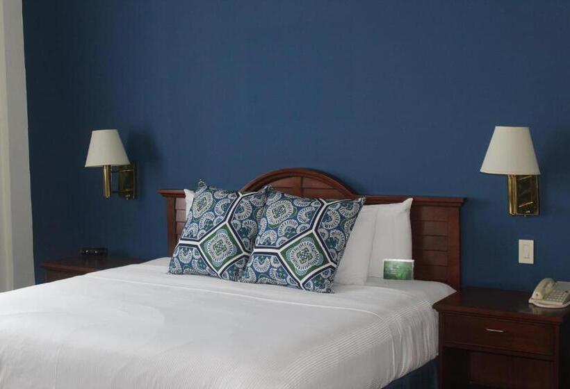 מיטת קינג בסוויטה, Best Western Plus Los Mochis