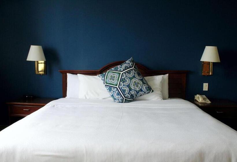 מיטת קינג בסוויטה, Best Western Plus Los Mochis