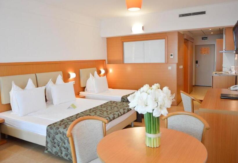 استودیوی استاندارد, Flamingo Grand Hotel & Spa