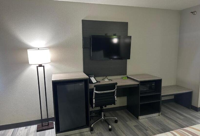 Standaardkamer met 2 Tweepersoonsbedden, La Quinta Inn By Wyndham Omaha Southwest