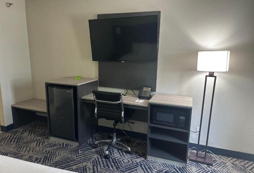 Standaardkamer met 2 Tweepersoonsbedden, La Quinta Inn By Wyndham Omaha Southwest