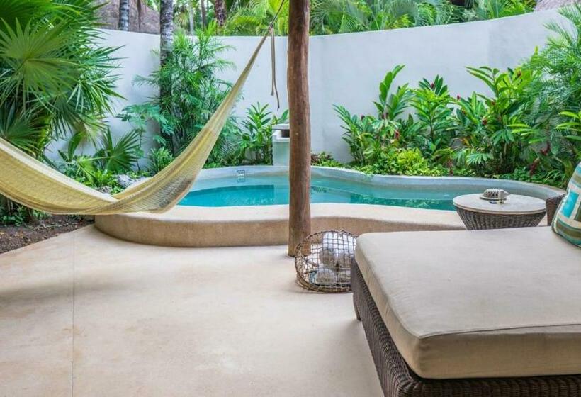 ‫فيلا غرفة نوم واحدة, Viceroy Riviera Maya, A Luxury Villa Resort