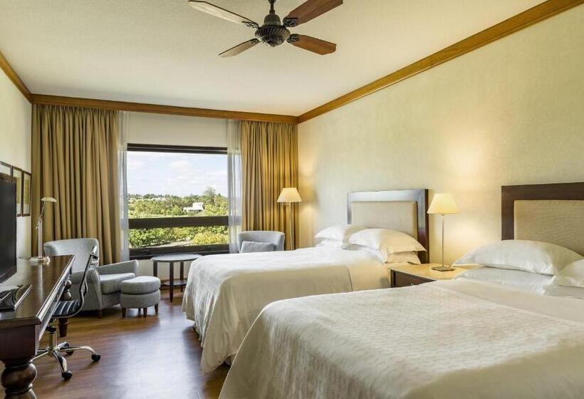 Quarto Estandard Vista Golf, Sheraton Colonia Golf & Spa Resort