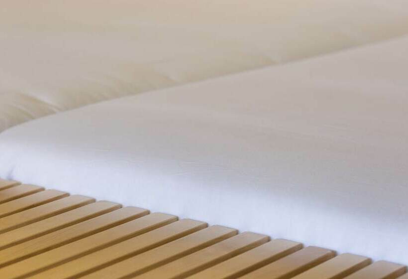 수피리어 룸, Ap Adriana Beach Resort