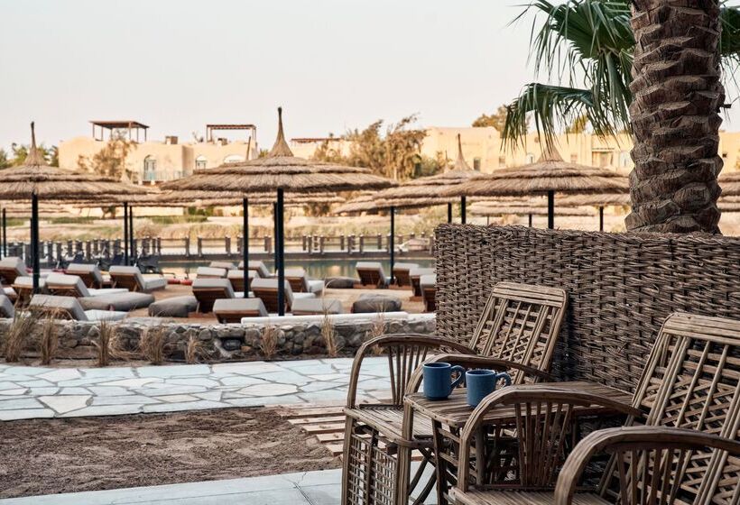 اتاق استاندارد با چشم‌انداز دریاچه, Cook’s Club El Gouna