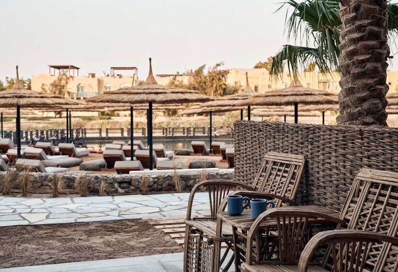 اتاق استاندارد با چشم‌انداز دریاچه, Cook’s Club El Gouna