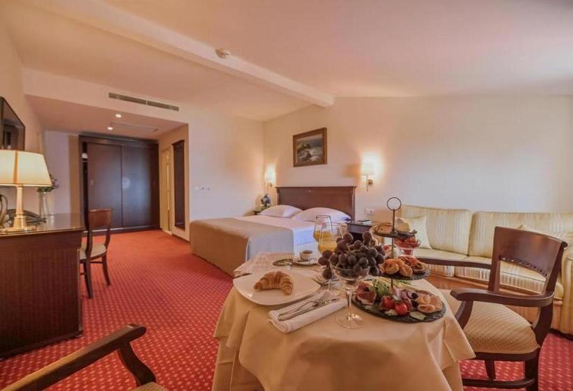 اتاق استاندارد با چشم‌انداز باغ, Amadria Park Hotel Agava