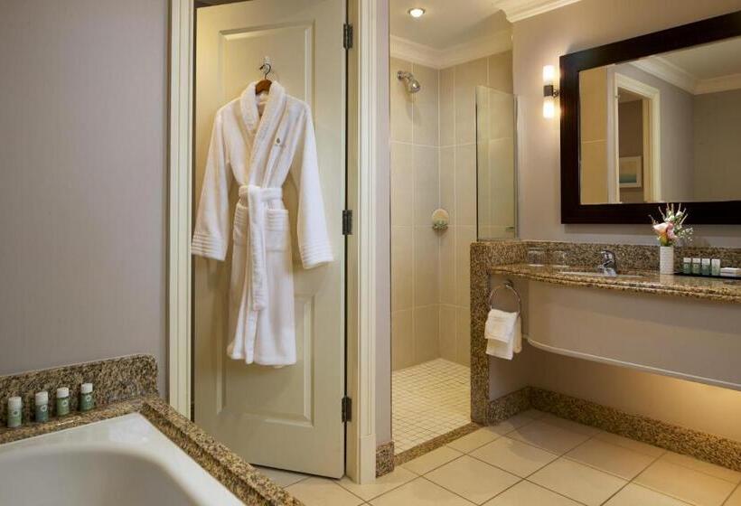 اتاق استاندارد با تخت بزرگ, Lyrath Estate