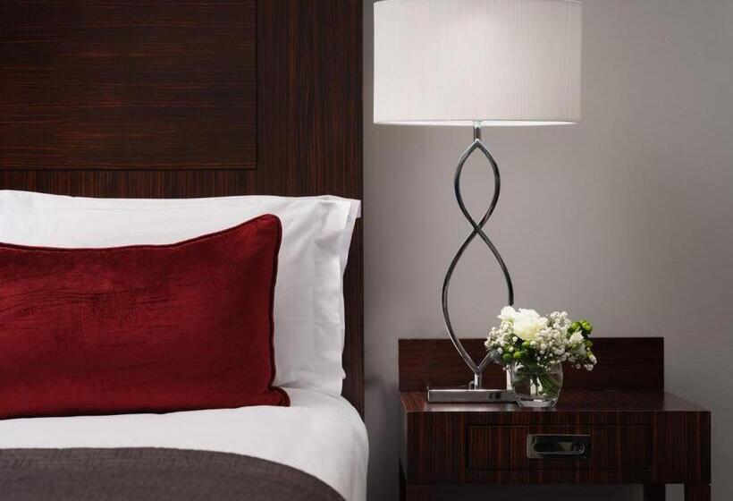 اتاق استاندارد با تخت بزرگ, Lyrath Estate