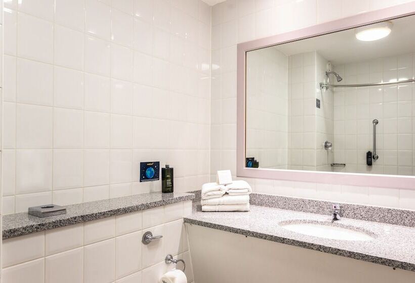 اتاق استاندارد, Maldron Hotel & Leisure Centre, Oranmore Galway