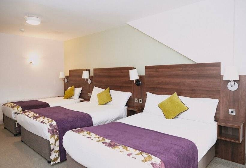 اتاق استاندارد سه نفره, Maldron Hotel & Leisure Centre, Oranmore Galway