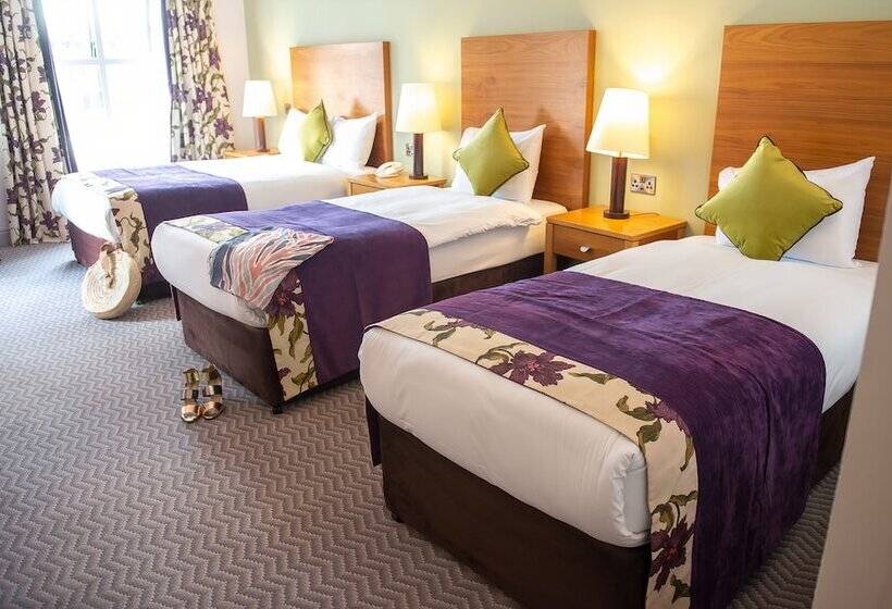 اتاق استاندارد سه نفره, Maldron Hotel & Leisure Centre, Oranmore Galway