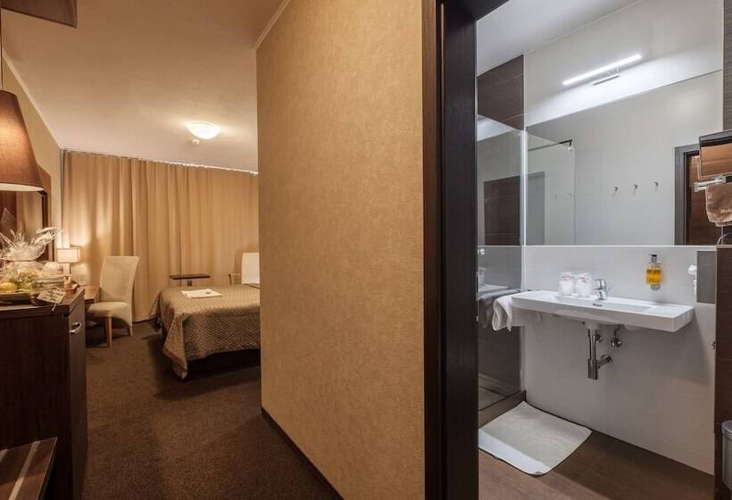 اتاق راحتی یک تخته, Premium Business Hotel Bratislava