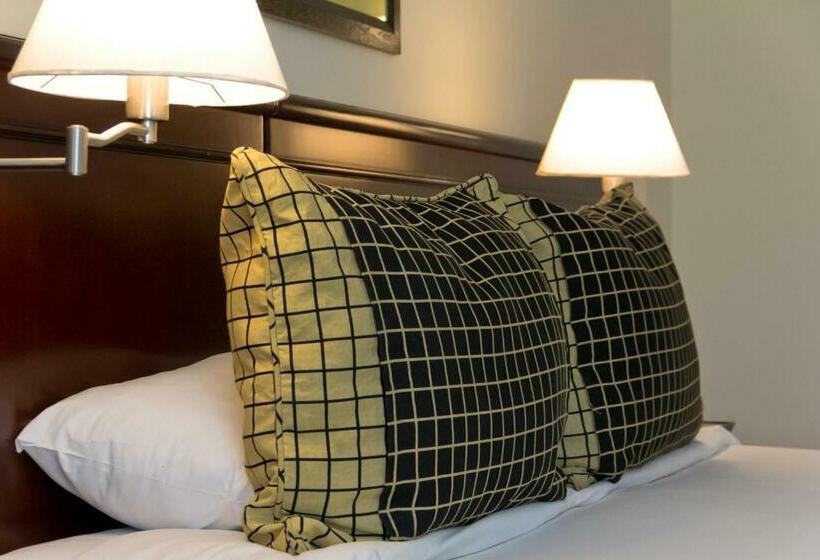 اتاق لوکس, Amérian Executive Hotel Mendoza
