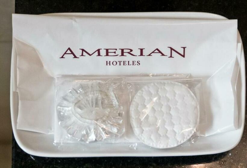 اتاق لوکس, Amérian Executive Hotel Mendoza