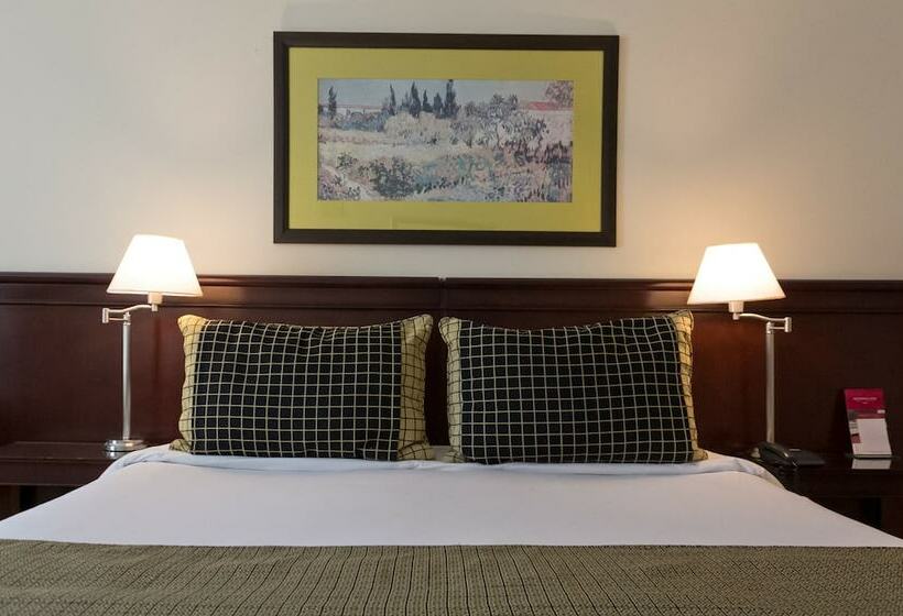 اتاق لوکس, Amérian Executive Hotel Mendoza