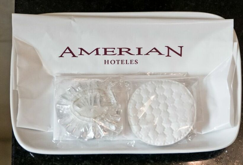 اتاق لوکس, Amérian Executive Hotel Mendoza