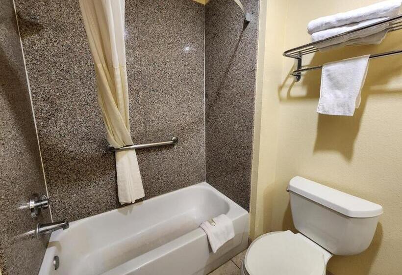 اتاق لوکس با تخت بزرگ, Days Inn & Suites By Wyndham Sam Houston Tollway