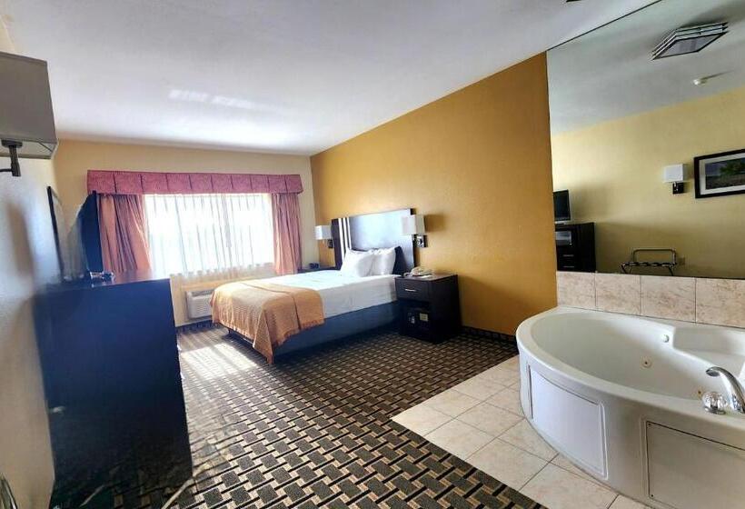 اتاق لوکس با تخت بزرگ, Days Inn & Suites By Wyndham Sam Houston Tollway