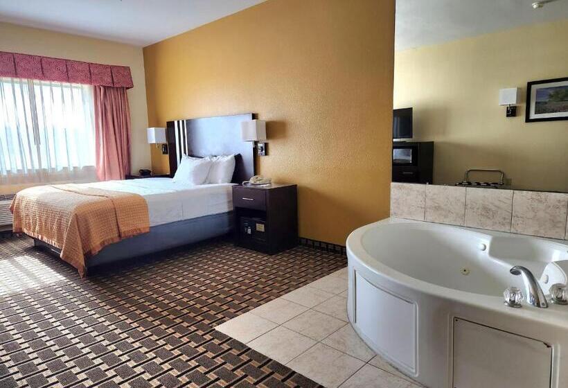 اتاق لوکس با تخت بزرگ, Days Inn & Suites By Wyndham Sam Houston Tollway