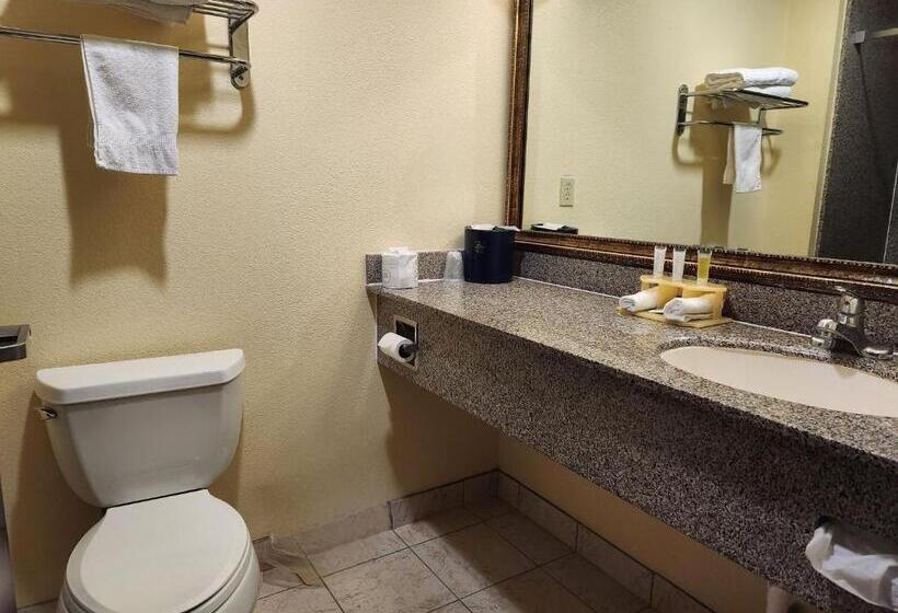 اتاق استاندارد با تخت بزرگ, Days Inn & Suites By Wyndham Sam Houston Tollway