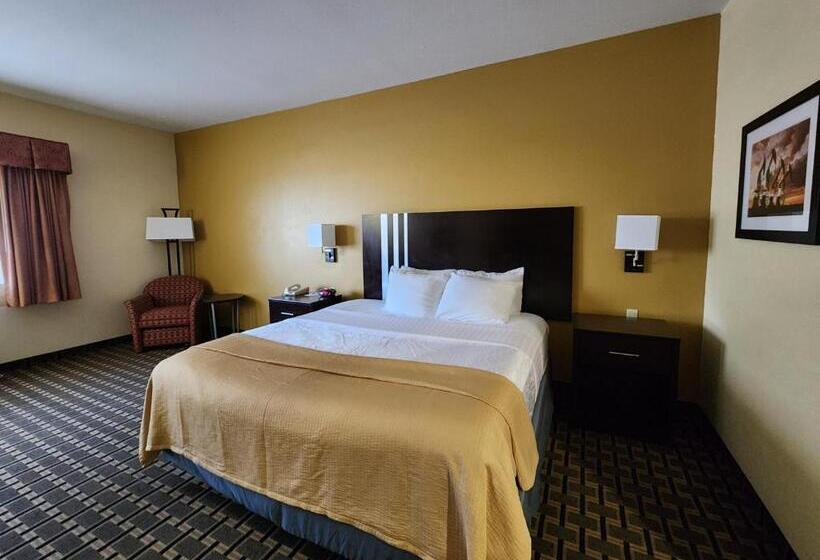 اتاق استاندارد با تخت بزرگ, Days Inn & Suites By Wyndham Sam Houston Tollway