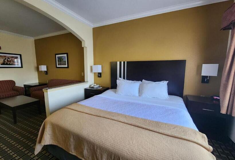 سوئیت با تخت بزرگ, Days Inn & Suites By Wyndham Sam Houston Tollway