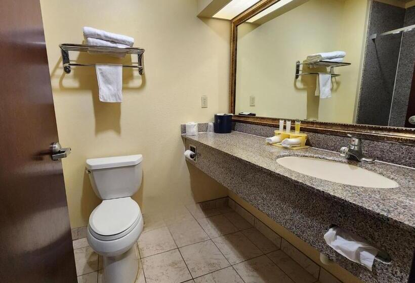 اتاق استاندارد, Days Inn & Suites By Wyndham Sam Houston Tollway