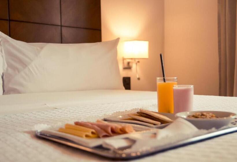 اتاق استاندارد با تخت بزرگ, Crowne Plaza Asunción, An Ihg