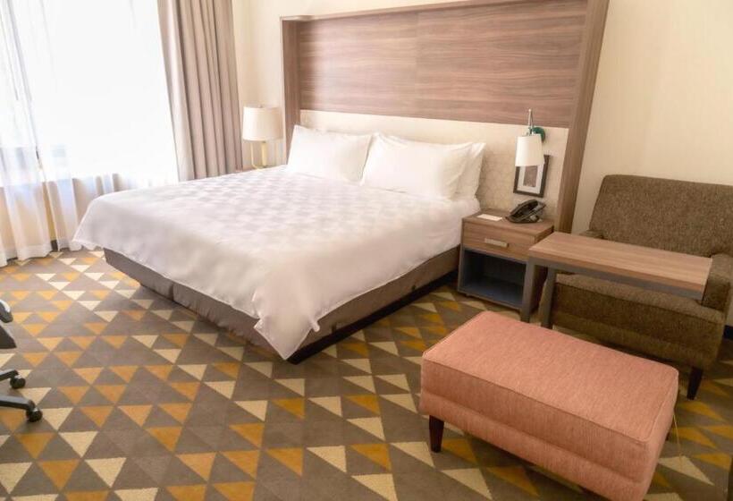 اتاق استاندارد با تخت بزرگ برای معلولان, Holiday Inn Tlaxcala