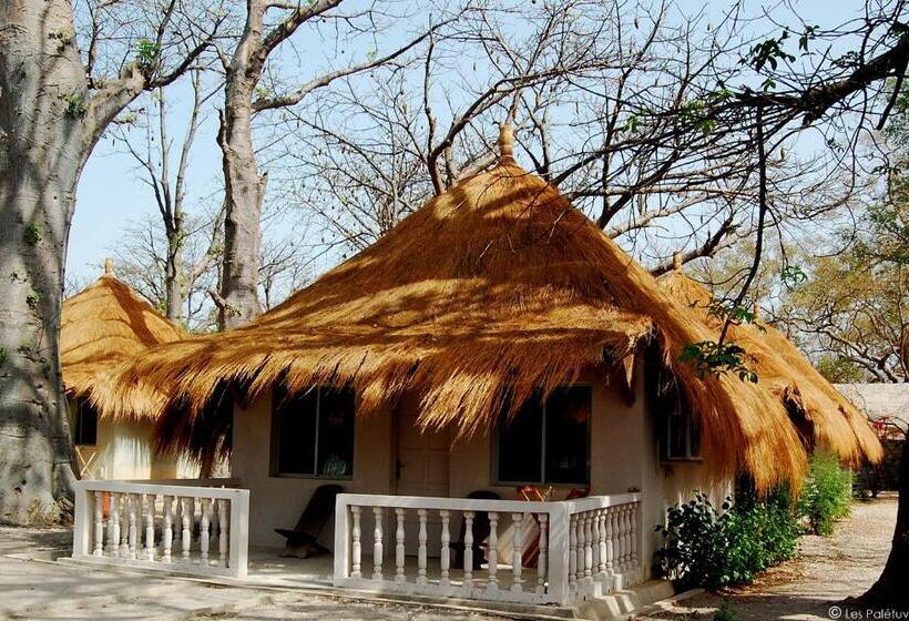 Standard Bungalow, Les Palétuviers