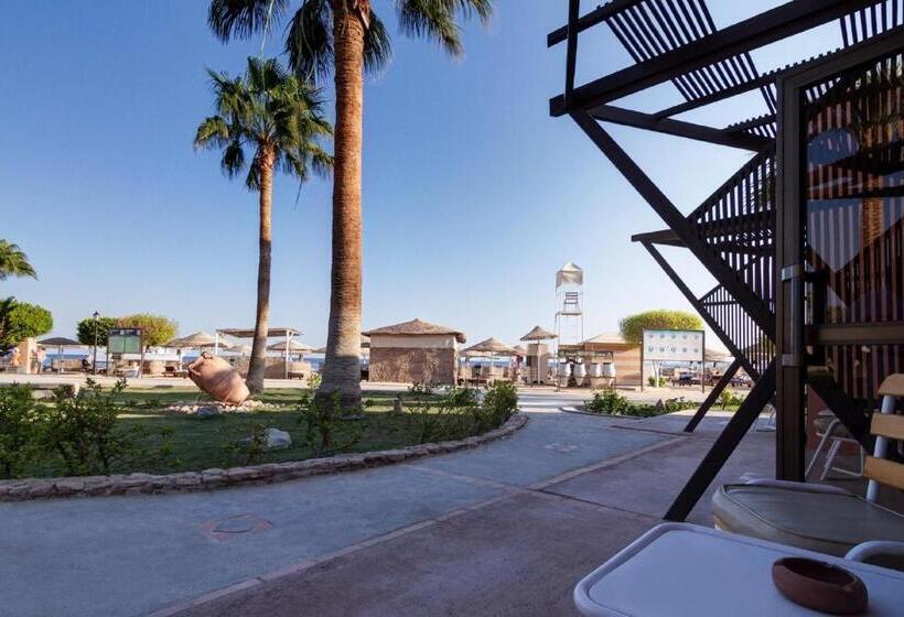 اتاق استاندارد, Eagles Paradise Abu Soma Resort