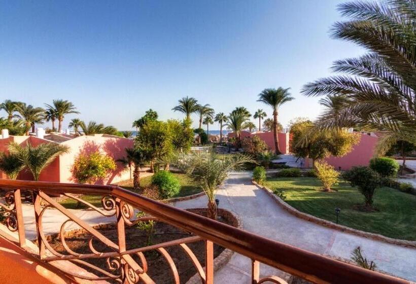 اتاق استاندارد, Paradise Abu Soma Resort