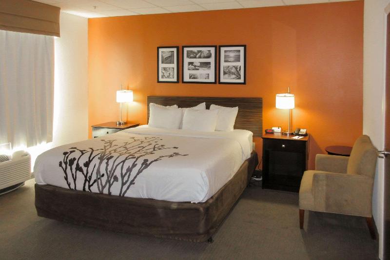 اتاق استاندارد با تخت بزرگ, Sleep Inn & Suites Ft. Lauderdale International Airport
