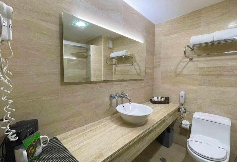 اتاق استاندارد یک نفره, Trinitarias Suites