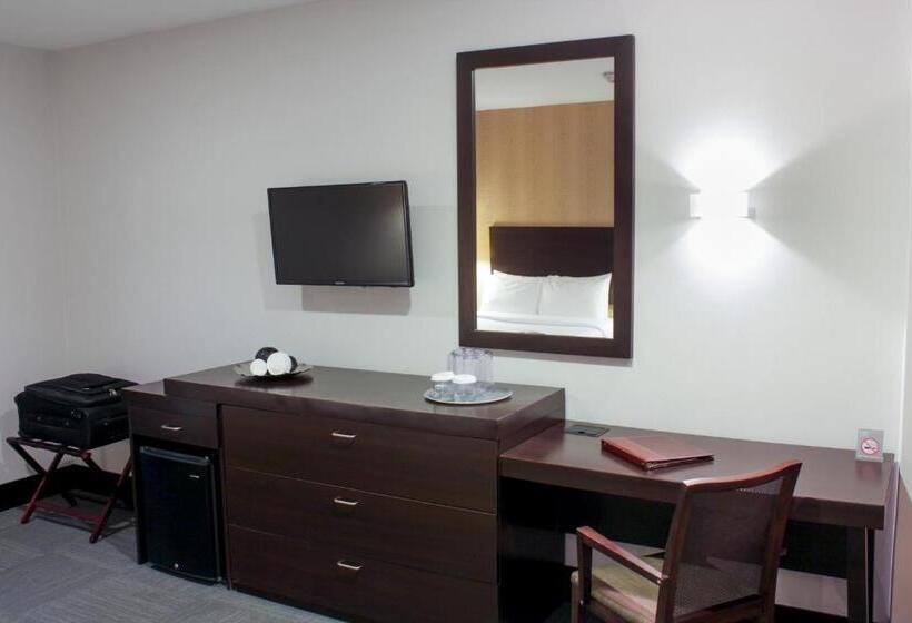 اتاق استاندارد یک نفره, Trinitarias Suites