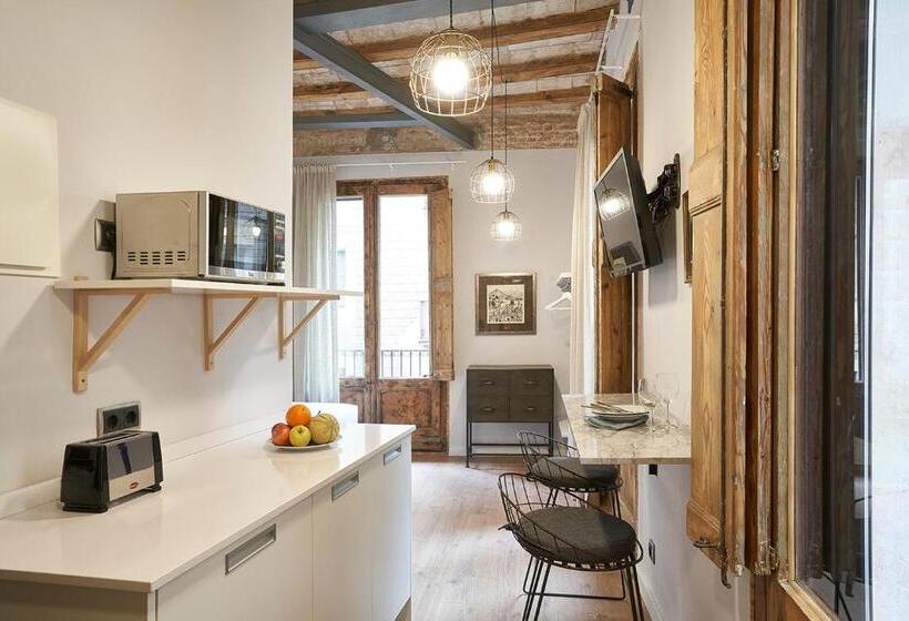 Studio Standard, Ainb Gothic Jaume I Apartments