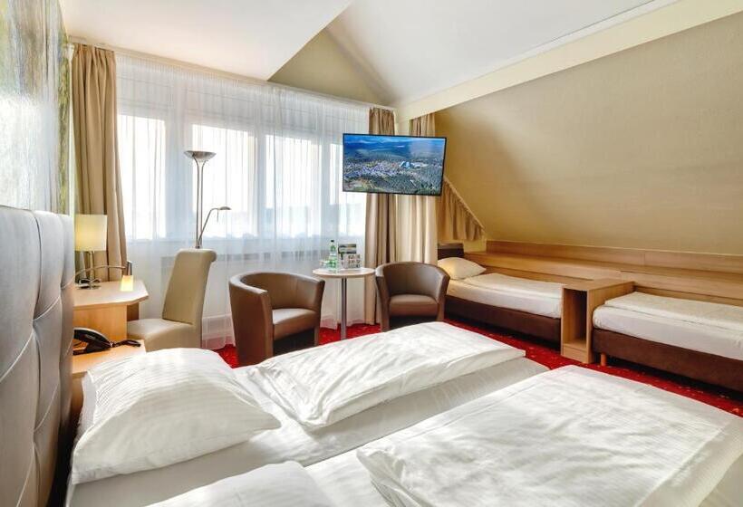 اتاق خانوادگی, Ahorn Panorama Hotel Oberhof