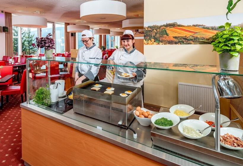 استودیوی استاندارد, Ahorn Hotel Am Fichtelberg