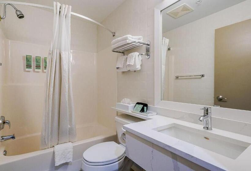 اتاق استاندارد با تخت بزرگ, Best Western Peace Arch Inn