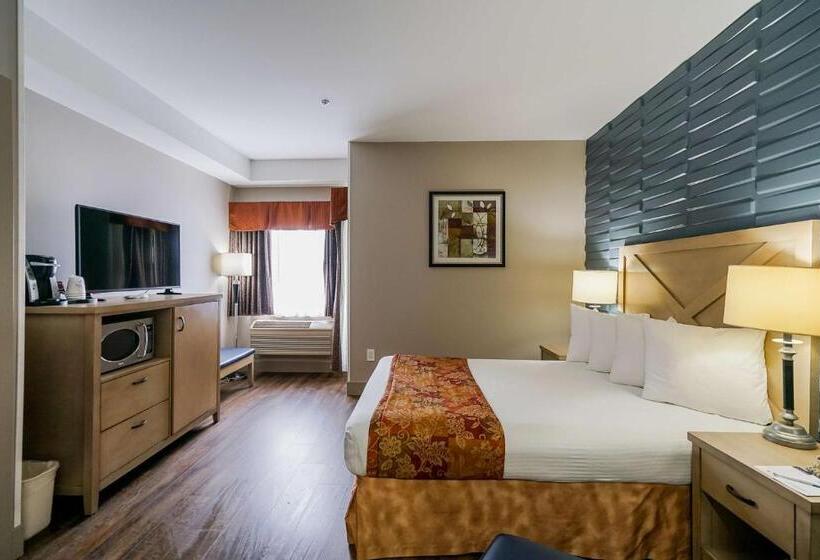 اتاق استاندارد با تخت بزرگ, Best Western Peace Arch Inn