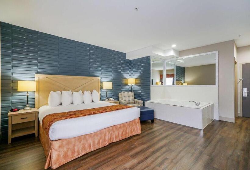 اتاق استاندارد با تخت بزرگ, Best Western Peace Arch Inn