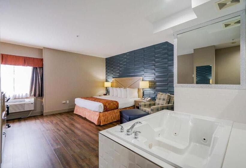 اتاق استاندارد با تخت بزرگ, Best Western Peace Arch Inn
