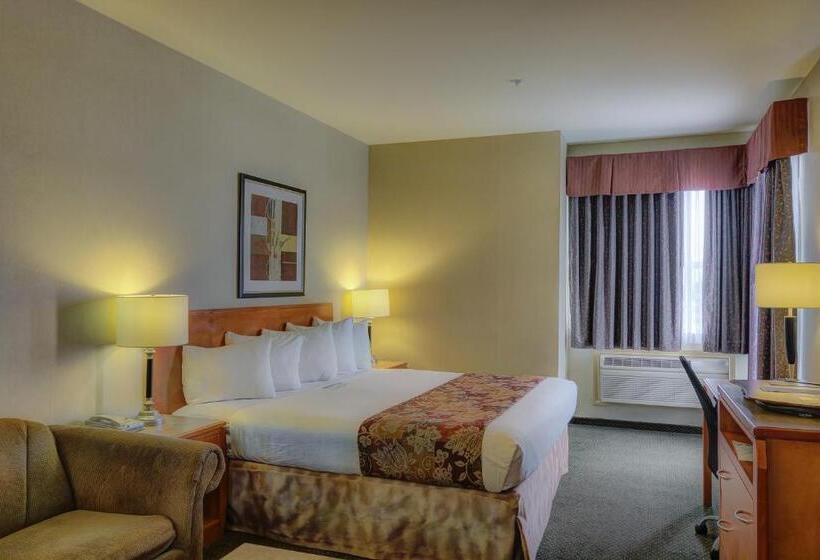 اتاق استاندارد با تخت بزرگ, Best Western Peace Arch Inn