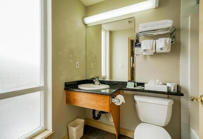 اتاق استاندارد با تخت بزرگ, Best Western Peace Arch Inn