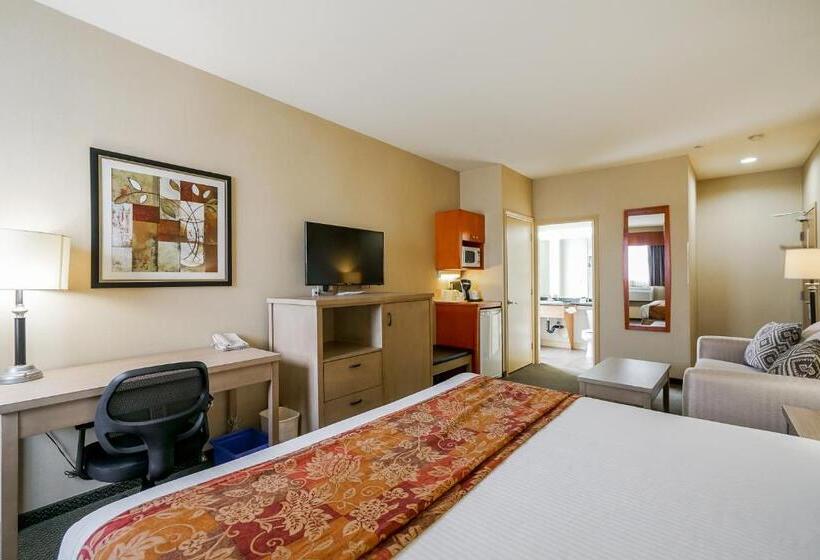اتاق استاندارد با تخت بزرگ, Best Western Peace Arch Inn