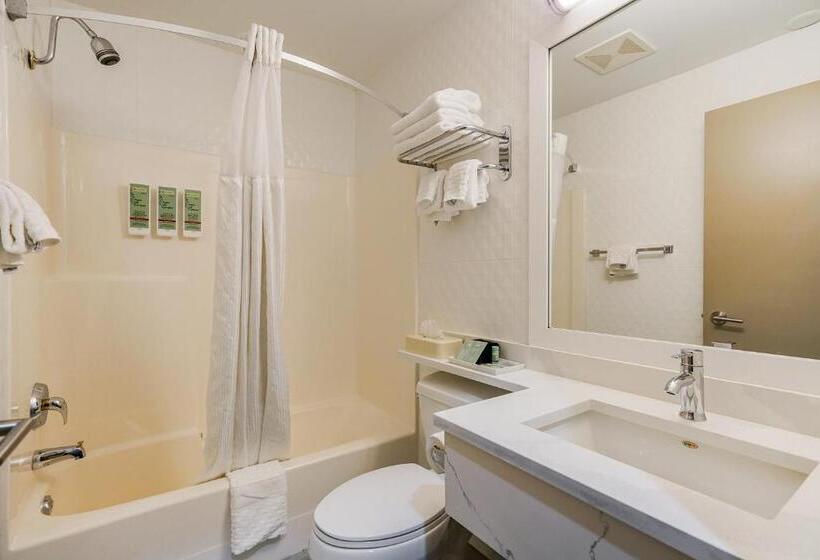 اتاق استاندارد, Best Western Peace Arch Inn