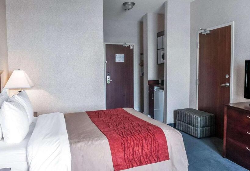 اتاق استاندارد, Comfort Inn
