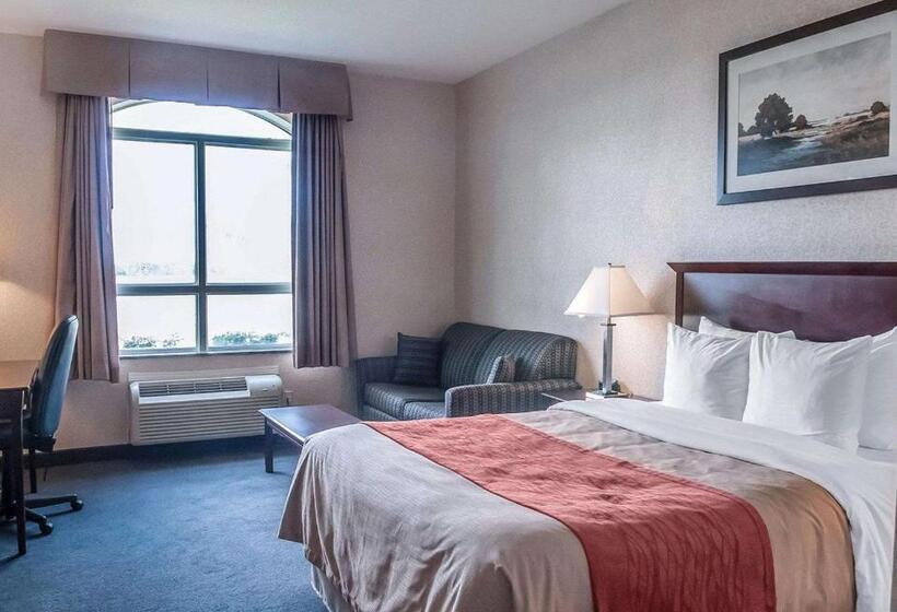 اتاق استاندارد, Comfort Inn