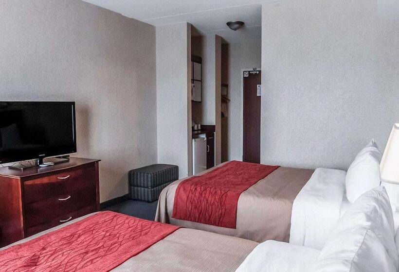 Chambre Standard, Comfort Inn